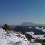 img_03283