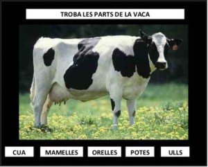 PARTS DE LA VACA