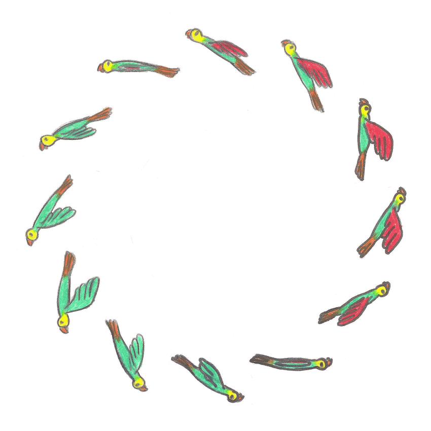 ocel-petitl1.gif