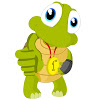 10. turtle interactive