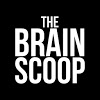 the brain scoop