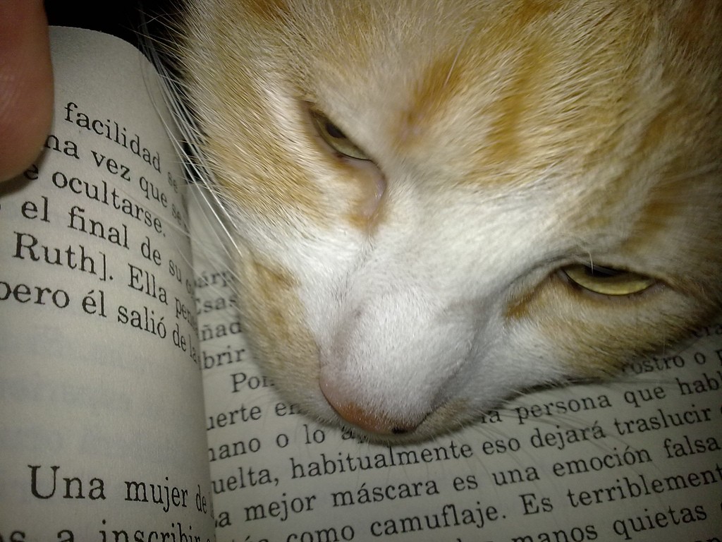 6003497979_0214031d07_b