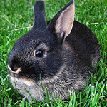 3586725904_03050e5dea_q