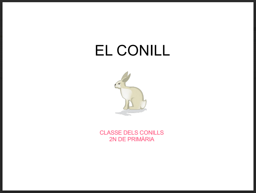 PORTADA EL CONILL PDI