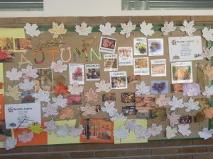 foto0461