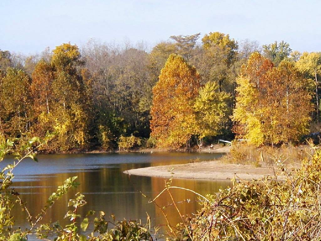 autumn2