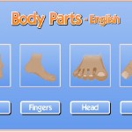 body-parts