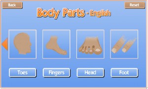 body-parts
