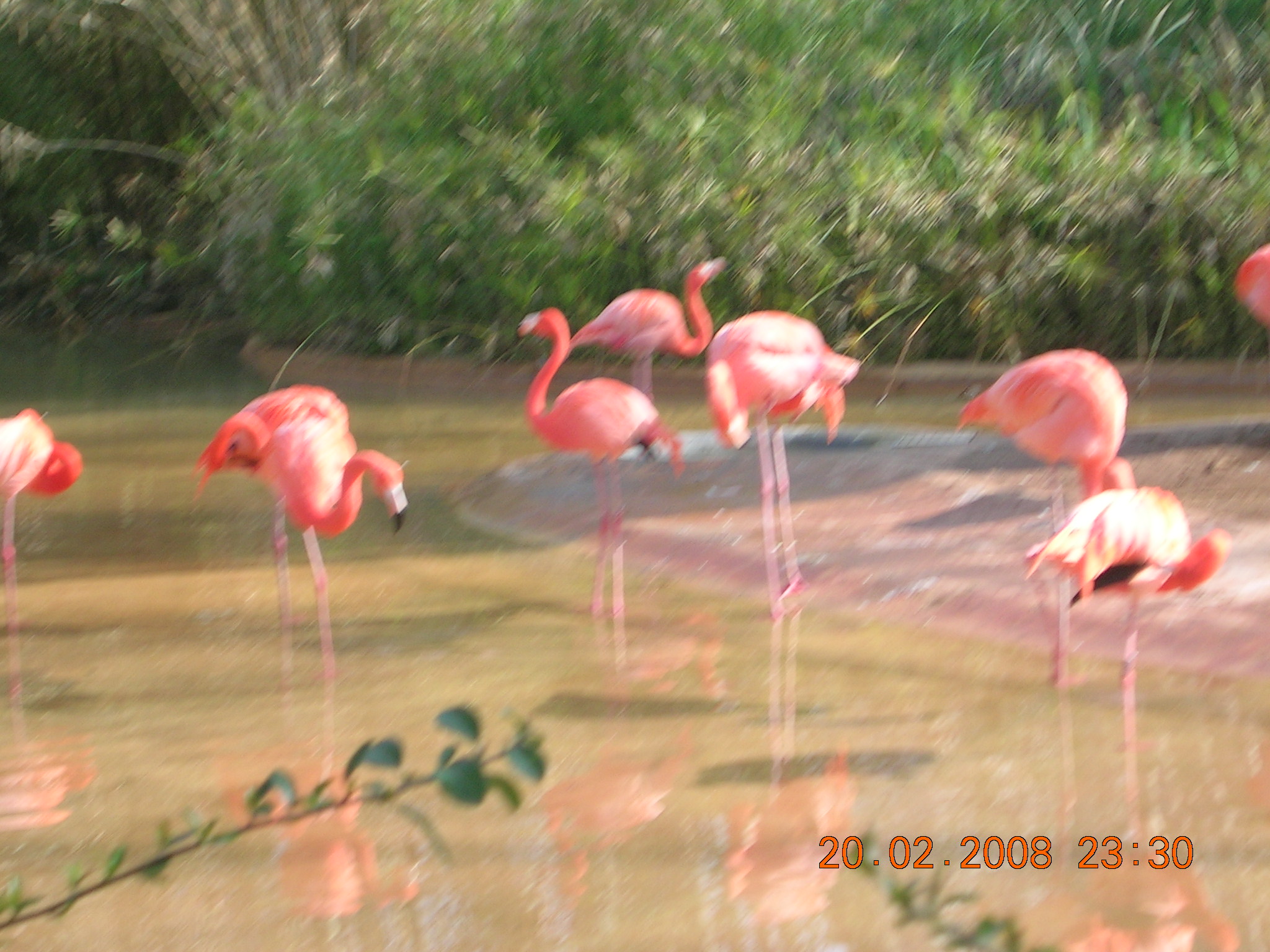 zoo-014.jpg