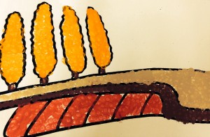 foto 2(2)