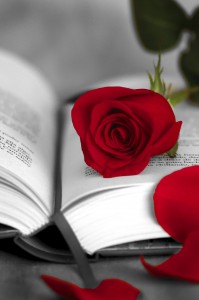 Rosa i llibre