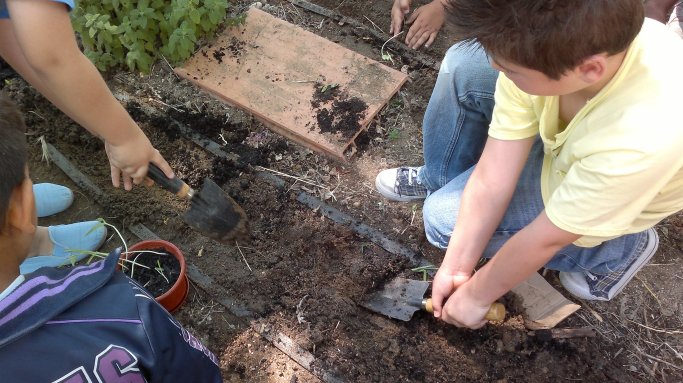 petit23052011443jpg1