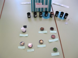 petitimg_09463
