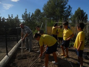 HORT6