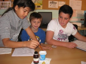 petitIMG_6070