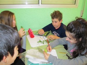 IMG_0052 (640x480)
