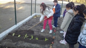 hort2