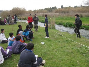 petitIMG_6813