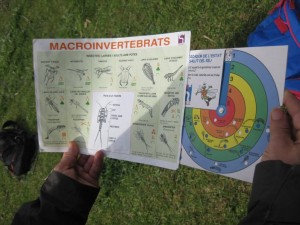 petitIMG_6833