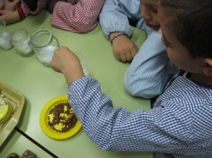 IpetitMG_5841