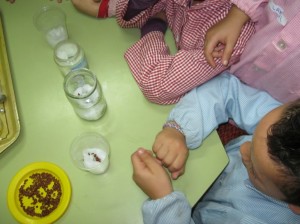 petitIMG_5842