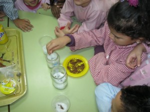 petitIMG_5843