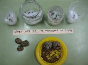 petitIMG_5844