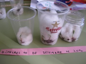 petitIMG_5938