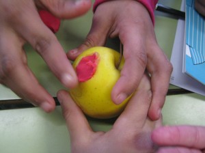IMG_1824
