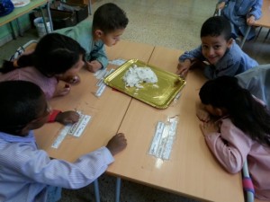 fossils8