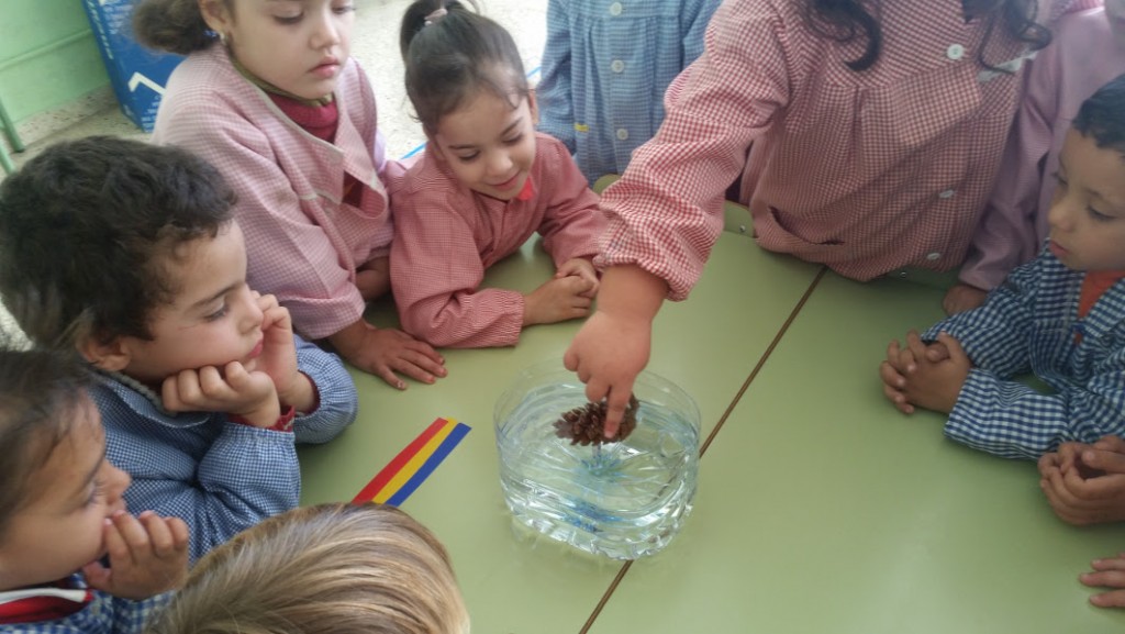petita20151126_103915
