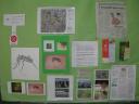 dscn4798.JPG