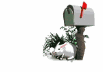 email2.gif