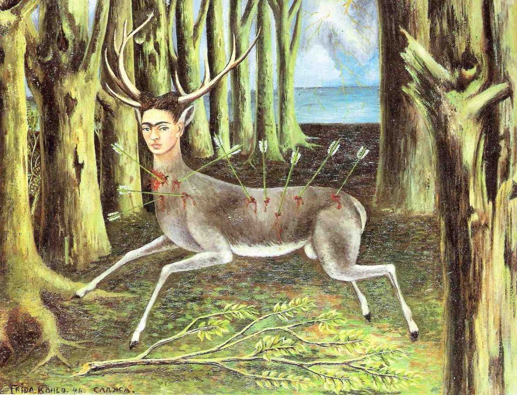 venadito