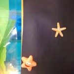pps estrelles