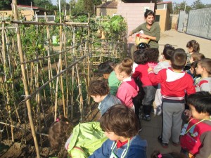 IMG_4295 - copia