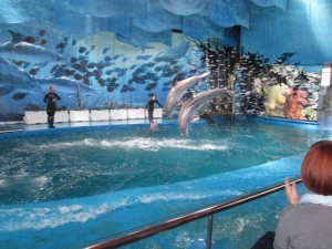 IMG_5800 - copia