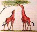 girafes