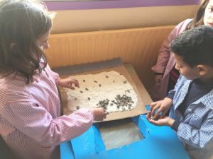 img-20170214-wa0015