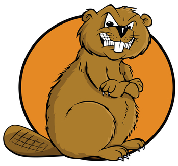 castor-logo-big1