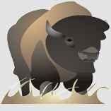 dibujo-de-animal-bison-icono1