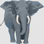 dibujo-de-animal-elefante-icono1