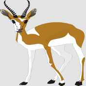 dibujo-de-animal-gacela-icono1