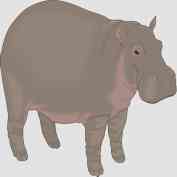 dibujo-de-animal-hipopotamo-icono1