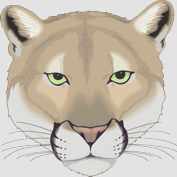 dibujo-de-animal-leona-icono1