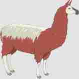 dibujo-de-animal-llama-icono1