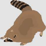 dibujo-de-animal-mapache-icono1