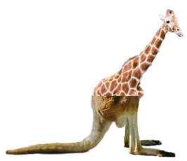 La increible girafa cangur