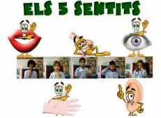 5sentits