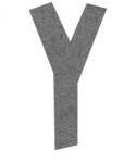 y
